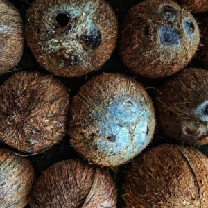 Toothpaste_Coconut_3