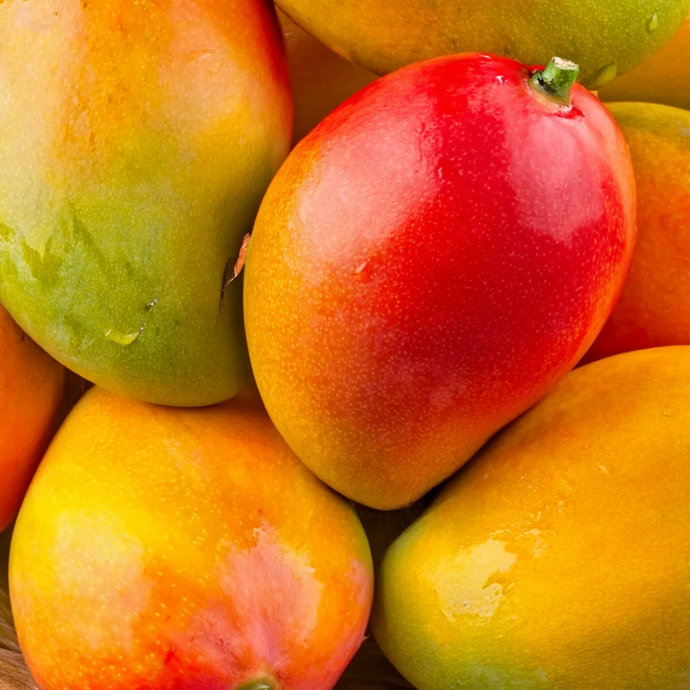 Toothpaste_Mango_2