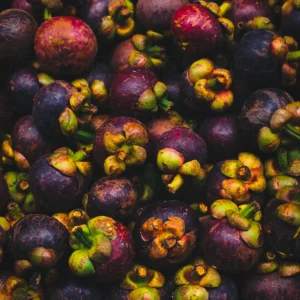 Toothpaste_Mangosteen_3